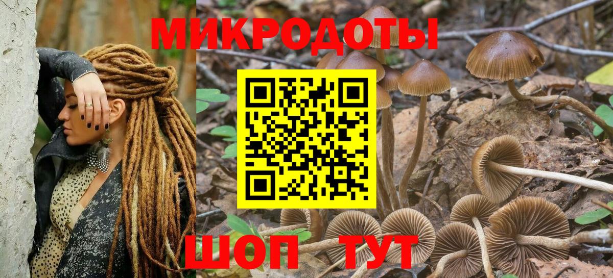 Псилоцибиновые грибы Magic Shrooms Барнаул