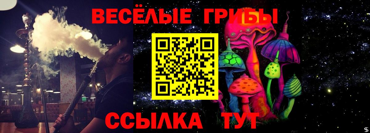 Галлюциногенные грибы Magic Shrooms  Галлюциногенные грибы GOLDEN TEACHER  Вход с VPN  Барнаул 